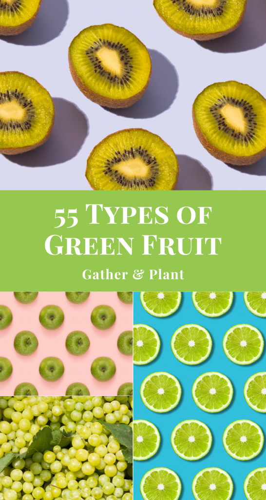 44 Types of Green Fruit (With Name & Photo)