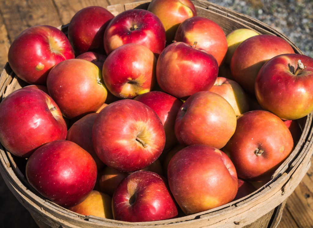 39 Tasty Types of Red Apples & Their Uses